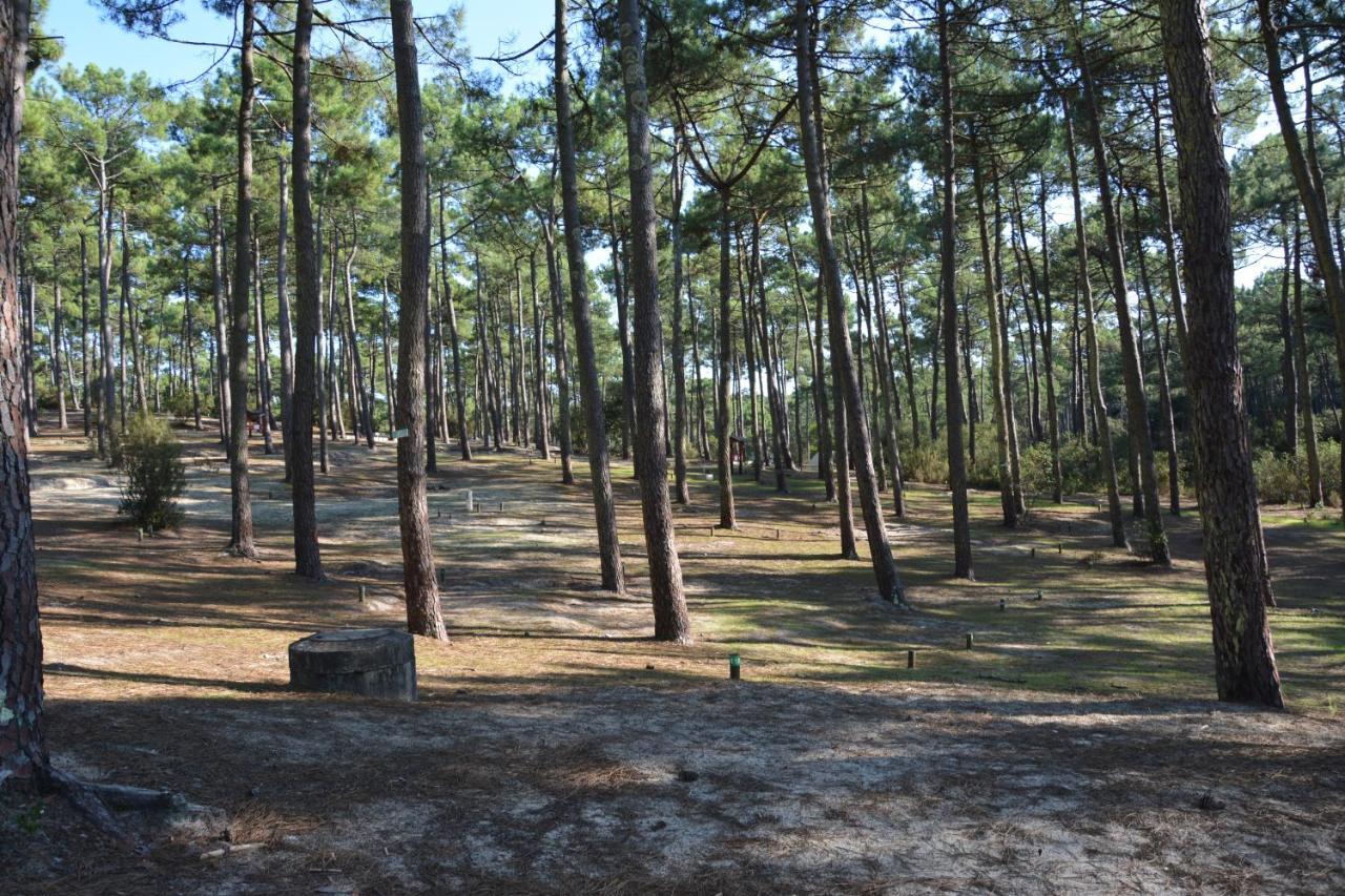 Wellness Sport Camping - La Dune Bleue แกร์ก็อง ภายนอก รูปภาพ